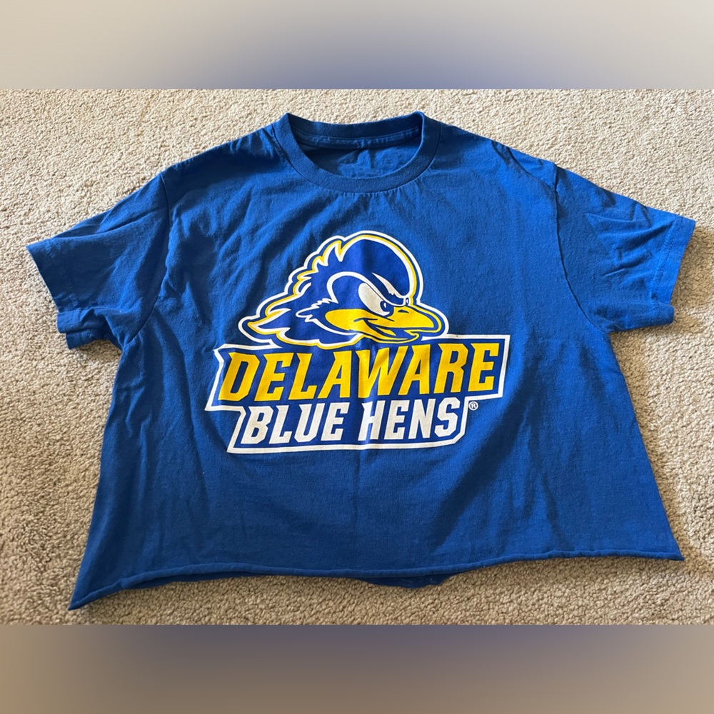 Delaware Blue hens cropped tee